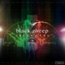 Black Zheep - Yesterdays