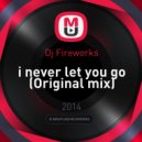 Dj Fireworks - i never let you go