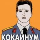 Fast Food vs. Arnold Schwarzenegger - Cocainum Springboard (Dj RomeRo & FerLand Tran Mush Up) (Dj RomeRo & FerLand Tran MushUp)
