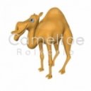 Rolvario - Cameltoe
