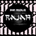 Shvrp Prickles - Ragan (Original mix)