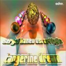 Sergei Kanev & Ari Kyle - Tangerine Dream