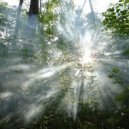 Haltaar - Forest Floor