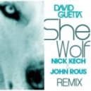 David Guetta feat. Sia - She Wolf