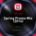 DjVishtal - Spring Promo Mix