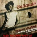 Enrique Iglesias vs. JayyFresh vs. Geo Da Silva & Jack Mazzoni - Bailando (Alex Botcher Mash-Up)
