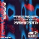 Transwave - Adoration to the Aum