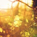 Kazimour - Emotion Flash (Autumn BREAK-2013)