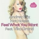 Andrey Exx, Hot Hotels, Vika Grand - Feel What You Want (Beatkind\'s 10AM Afterhours remix)