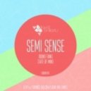Semi Sense - State Of Mind (Original mix)