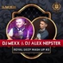 Jerome Robins & MC Flipside & Anna Lunoe - Insomnia (DJ Mexx & DJ Alex Nepster Mash-Up)