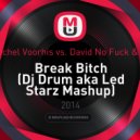 Halogen feat. Rachel Voorhis vs. David No Fuck & Vnalogic & Taito - Break Bitch (Dj Drum aka Led Starz Mashup)