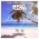 Calvin Harris feat. Ellie Goulding - I Need Your Love (Sokko & Lyons Remix)