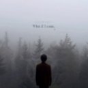 Volfworks - What If I Come?