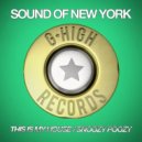 Sound Of New York - This Is My House
