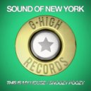 Sound Of New York - This Is My House (Original Mix)