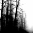 Blinded - Nyte