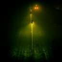 Lion Forest x CraSET - Lonely Night