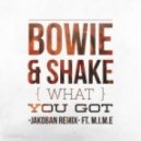 Bowie & Shake feat. M.I.M.E - What You Got (Jakoban Remix)
