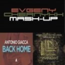 Antonio Giacca Vs. Hardwell & Joey Dale (feat. Luciana) - Back Home Arcadia (Evgeny Chernykh Mash-Up)