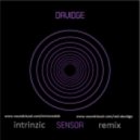 Neil Davidge feat. Jhelisa Anderson - Sensor (Intrinzic Remix)