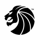Seven Lions - Days To Come (TL1 Remix)