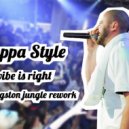 Steppa Style - Vibe Is Right