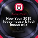 Andrey Vasin - New Year 2015 (deep house & tech house mix)