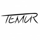 Temur - Sivesgaard - In The Night (Temur Remix)