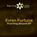 Evren Furtuna - Come Back To The Ground