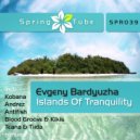 Evgeny Bardyuzha - Islands Of Tranquility (Teana & Tiida Remix)