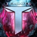 Teminite feat. Jonah Hitchens - Come Together Now (Original Mix)