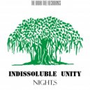 Night.S - Indissoluble Unity