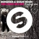 Borgeous & Shaun Frank feat. Delaney Jane - This Could Be Love (Fabian Baroud Remix)