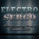 DJ Electro Sergo - Wild January Part 2