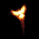 Nourma - Phoenix