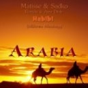 Matisse & Sadko vs. Ranidu & Amr Diab - Habibi