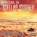 Special Q - Stellar Journey