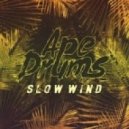 Ape Drums - Slow Wind (Original mix)