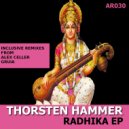 Thorsten Hammer - Radhika (Gruia Remix)