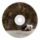 Edgar Morris - Faune (Original Mix)
