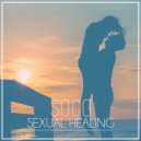 Marvin Gaye - Sexual Healing (Soco Remix)