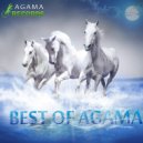 A.G.A.M.A - In Motion