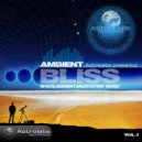 Sad radio on Cassini - Northern Wind (Original Mix)