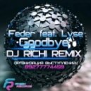 Feder feat. Lyse - Goodbye