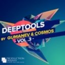 Lisa Millett, Juan Kidd, Felix Baumgartner vs Siente - Now Youre Gone (Gumanev & Cosmos DeepTool) (Gumanev & Cosmos DeepTool)