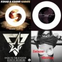 Quentin Mosimann vs. Alpharock vs. R3hab & KSHMR - Get Back To Karate