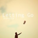 Skyvoice - Letting Go (Original mix)