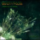 bruno_477 - Big City Pulse
