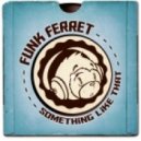 Funk Ferret - Something Like That